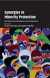 Synergies in Minority Protection -- Bok 9780521864831