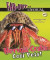 Hermit Crabs -- Bok 9780766053113