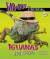 Iguanas: Cool Pets! -- Bok 9780766036864