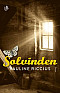 Solvinden