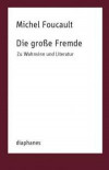 Die große Fremde: Zu Wahnsinn und Literatur (TransPositionen)