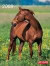 Pferde 2008. Posterkalender. (Art & Image)