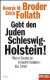 Gebt den Juden Schleswig-Holstein!: Wenn Deutsche Israel kritisieren - ein Streit - Ein SPIEGEL-Buch