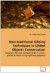 Non-traditional Gilding Techniques in Gilded Objects Conservation: Research into loss compensation in water-gilded surfaces using synthetic polymers