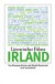 Literarischer Führer Irland (insel taschenbuch)