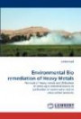 Environmental Bio remediation of Heavy Metals: Removal of Heavy metals and Utilization of some agro industrial wastes in purification of waste-water and in value-added products