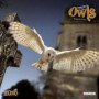 Magic Owls 2016: Kalender 2016 (What a Wonderful World)