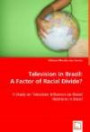 Television in Brazil: A Factor of Racial Divide?: A Study on Television Influence on Racial Relations in Brazil