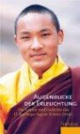 Augenblicke der Erleuchtung: Die Lehren und Gedichte des 17. Karmapa Ogyen Trinley Dorje