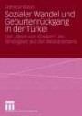 Sozialer Wandel und Geburtenrückgang in der Türkei: Der "Wert von Kindern" als Bindeglied auf der Akteursebene