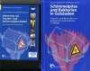 Sanierung von Feuchte- und Schimmelpilzschäden: Kombi-Ausgabe Schulungsfilm auf DVD und Buch "Schimmelpilze und Bakterien in Gebäuden", 2. Auflage