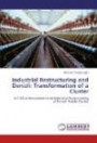 Industrial Restructuring and Denizli: Transformation of a Cluster: A Critical Interpretation on Industrial Restructuring of Denizli Textile Cluster