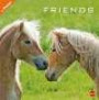 Friends Pferde Broschurkalender - Kalender 2017