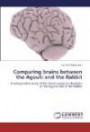Comparing brains between the Agouti and the Rabbit: A comparative study of the blood supply to the brain of the Agouti and of the Rabbit