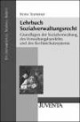 Lehrbuch Sozialverwaltungsrecht: Grundlagen der Sozialverwaltung, des Verwaltungshandelns und des Rechtsschutzsystems