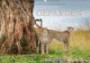 Emotionale Momente: Geparden (PosterbuchDIN A4 quer): Das schnellste Säugetier der Welt in atemberaubenden Bildern von Ingo Gerlach GDT. Mehr unter ... [Dec 05, 2012] Gerlach GDT, Ingo