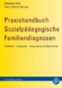 Praxishandbuch Sozialpädagogische Familiendiagnosen: Verfahren - Evaluation - Anwendung im Kinderschutz: Verfahren, Evaluation, Praxis und Anwendung im Kinderschutz