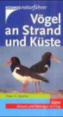 Vögel an Strand und Küste. Extra: Möwen und Watvögel im Flug