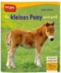 Ein kleines Pony wird groß: Mit Gutschein und Mini-Poster
