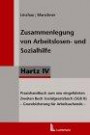 Zusammenlegung von Arbeitslosen- und Sozialhilfe, Hartz IV