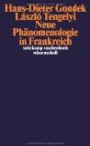 Neue Phänomenologie in Frankreich (suhrkamp taschenbuch wissenschaft)