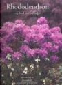 Rhododendron : og hvad dermed følger
