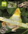 Insectos, Anfibios Y Reptiles / Insects, Amphibians and Reptiles