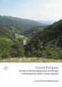Castel Pizigolo. Struttura dell’insediamento fortificato e sfruttamento delle risorse naturali