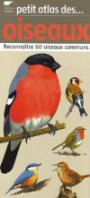 Petit atlas des oiseaux : Reconnaître 80 oiseaux communs