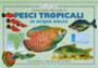 Guida pratica alla scelta di pesci tropicali di acqua dolce. Tutte le informazioni e i suggerimenti utili per il principiante