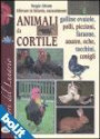 Animali da cortile - Galline ovaiole, polli, piccioni, faraone, anatre, oche, tacchini, conigli