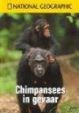 Chimpansees in gevaar / druk 1