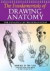The Fundamentals of Drawing Anatomy. Tom Flint, Peter Stanyer