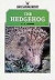 The Hedgehog (Shire Natural History)