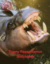 Pygmy Hippopotamus Sketchbook: Blank Paper for Drawing, Doodling or Sketching 120 Large Blank Pages (8.5'x11') for Sketching, inspiring, Drawing Anyt