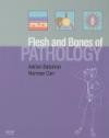 Flesh and Bones of Pathology