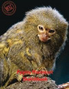 Pygmy Marmoset Sketchbook: Blank Paper for Drawing, Doodling or Sketching 120 Large Blank Pages (8.5'x11') for Sketching, inspiring, Drawing Anyt