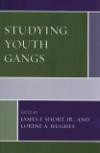 Studying Youth Gangs (Violence Prevention and Policy)