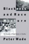 Blackness and Race Mixture: Dynamics of Racial Identity in Colombia (Johns Hopkins Studies in Atlantic History & Culture S.)