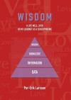 Wisdom : A Life Well Lived Or My Journey As A Schizophrenic