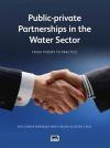 Public-Private Partnerships in the Water Sector: From Theory to Practice