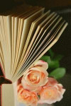 Beautiful Pink Roses and an Open Book Journal: Take Notes, Write Down Memories in this 150 Page Lined Journal