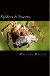 Spiders & Insects: Two Fascinating Books Combined Together Containing Facts, Trivia, Images & Memory Recall Quiz: Suitable for Adults & C