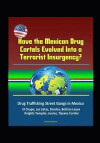 Have the Mexican Drug Cartels Evolved Into a Terrorist Insurgency? Drug Trafficking Street Gangs in Mexico, El Chapo, Los Zetas, Sinaloa, Beltran Leyv