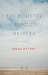 The Registry of Forgotten Objects: Stories