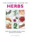The Essential Guide to Herbs: More Than 100 Herbs for Well-Being, Healing and Happiness (Essential Guides Series)