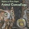 Hidden in Plain Sight: Animal Camouflage (Close-Up on Amazing Animals)