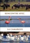 Rencontre avec la Camargue, dvd inkl. Lärarmaterial