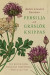 Persilja och gräslök knippas - Karl Alarik Grönholm, finlandssvensk trädgårdsmästare i början av 1900-talet