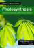 Photosynthesis